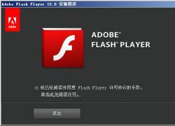 Adobe Flash Player 13(flash) V13.0.0.199 ʽ