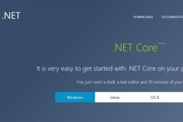 ˣ΢.Net Core 1.0طų