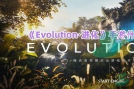 Evolutionκô