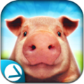 Сģ(Pig Simulator) V2.0.5 ׿