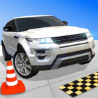 ʵʻReal Drive 3D V21.2.15 ׿