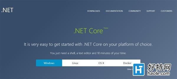 ˣ΢.Net Core 1.0طų