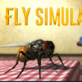 Fly Simulatorİ V1.0 ׿