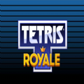 ˹ɱ淨ڹƽ棨Tetris RoyaleV1.0 ׿
