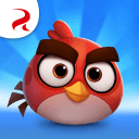 Angry Birds Casual V1.0.0